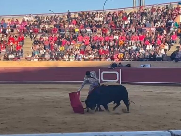 Talavante poursuit sa séquence taurine à Móstoles