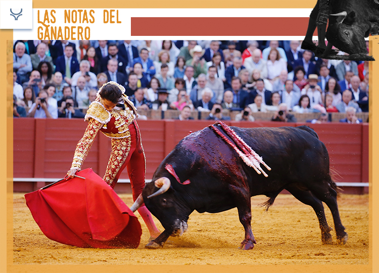 Victoriano del Río devrait mettre un étage à Roca Rey