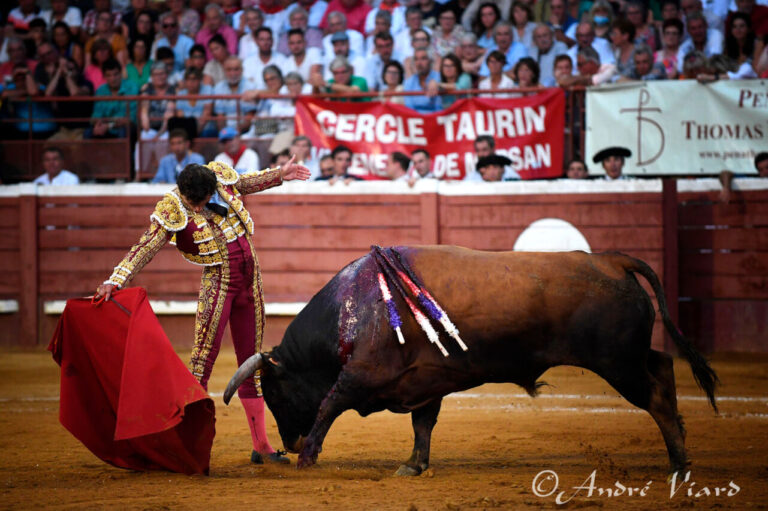 Villeneuve de Marsan annonce une corrida totalement gauloise pour le 6 août