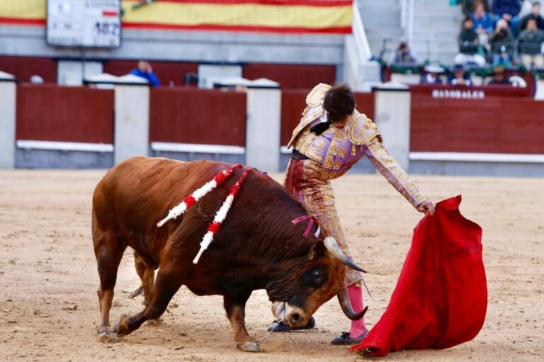 Alejandro Chicarro, derrière la Puerta Grande de Madrid : « Cela a été le plus bel après-midi, mais en même temps l'un des plus durs de ma vie »