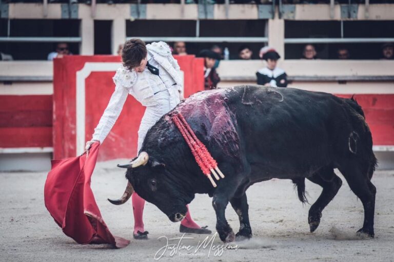 Tibo García: « Les soirées comme Alés » sont importantes pour atteindre mon objectif : confirmer à Nîmes »