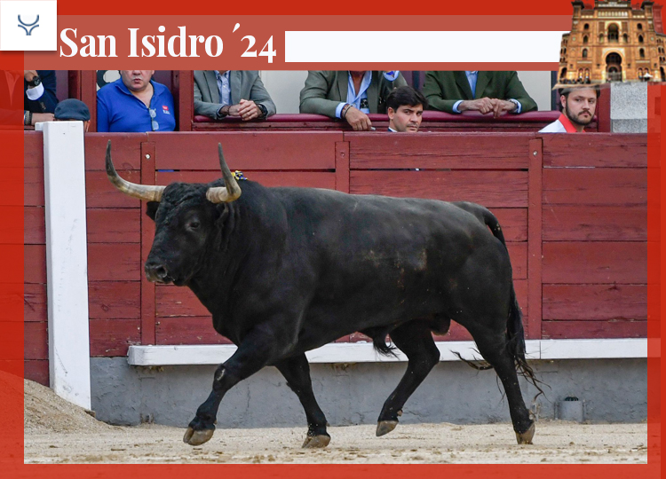 The Virtual Rancher : Capea, au-dessus de Montalvo