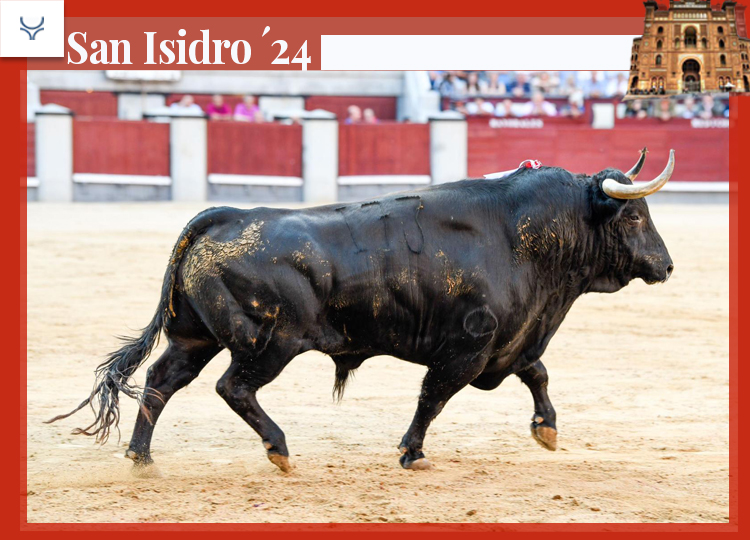 L'élevage virtuel de Juan Pedro Domecq : 'Rebeco', un taureau de 672 kilos hors de tous les moules