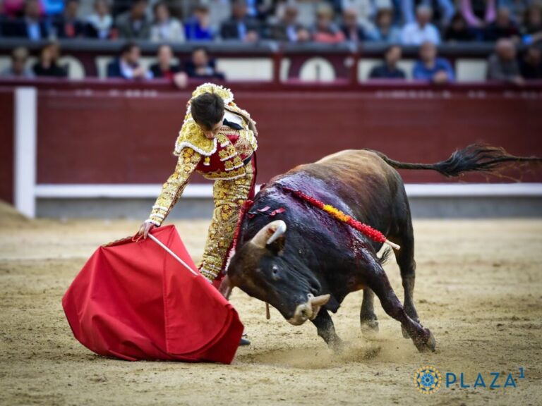 Ce n'est pas San Juan, mais San Isidro