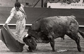 Le torero de Palencia Pedro Giraldo est décédé