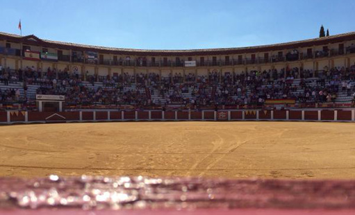Les taureaux reviennent à Cáceres avec une foire de chiffres