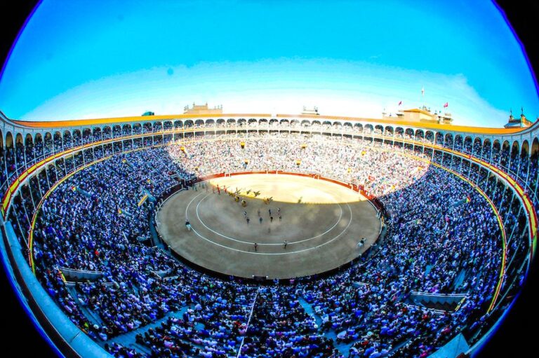 Telemadrid diffuse le gala San Isidro 2025