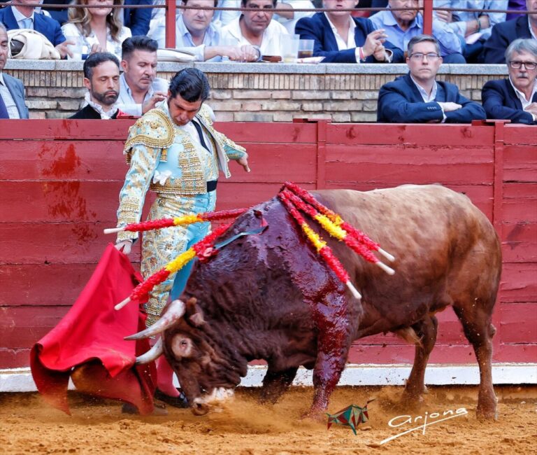 Morante de la Puebla remplace José María Manzanares à Cordoue