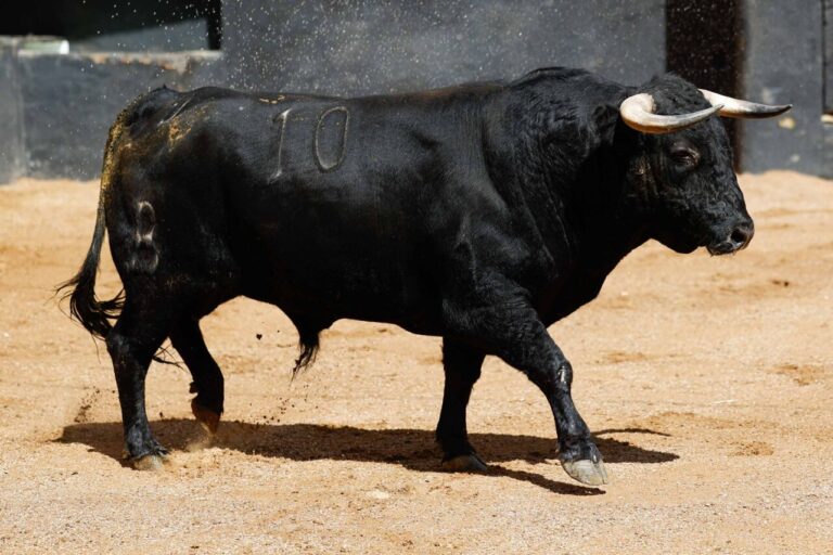 Ordre de combat des taureaux de Fermín Bohórquez pour le XVIIe événement d'abonnement de Séville