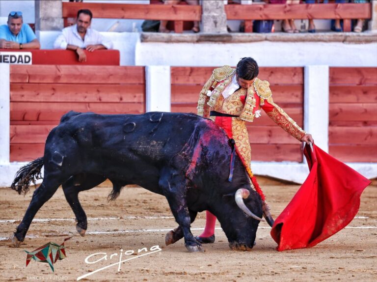 Oreille pour Morante de la Puebla, qui caresse l'attaque du noble second (Direct: Cáceres)