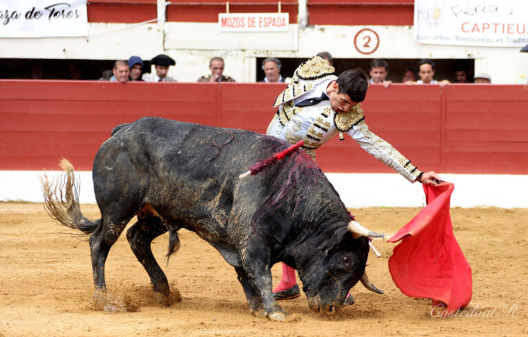 Remarquable corrida de Raso de Portillo le matin de Vic-Fezensac