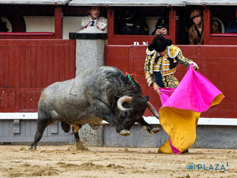Tirage au sort pour accompagner José Garrido dans sa préparation à la Foire de San Isidro