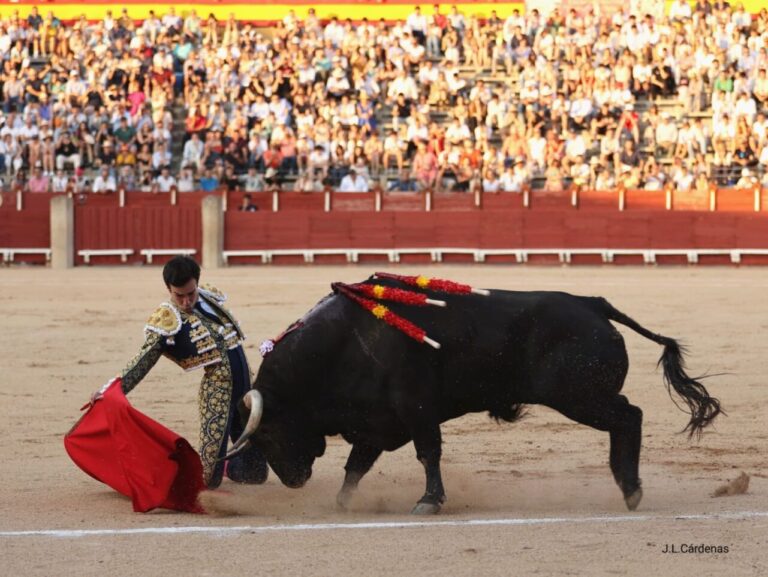 Tomás Rufo, un portagayola et une tauromachie chère comme Veronica