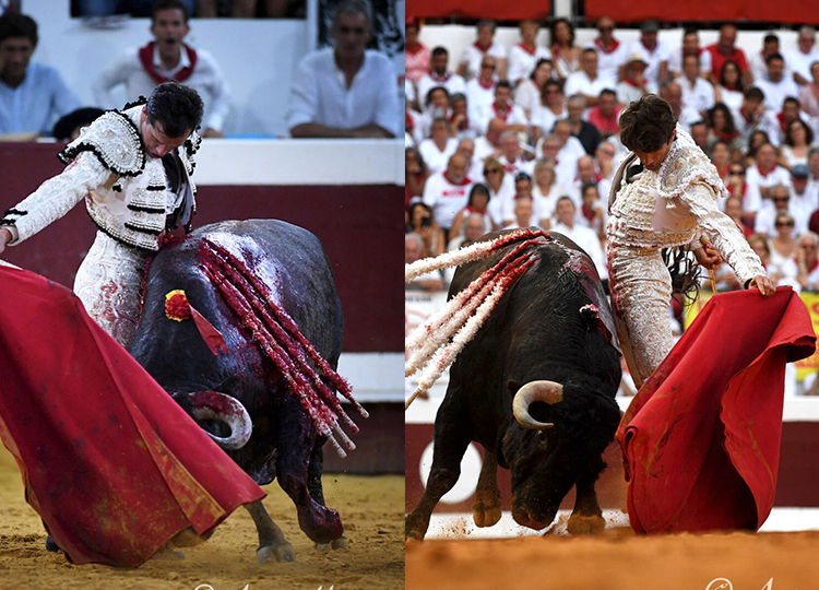 Un face à face des toreros préférés
