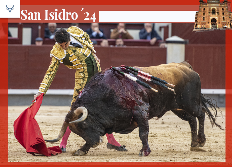 Une corrida incroyable et un torero extraordinaire