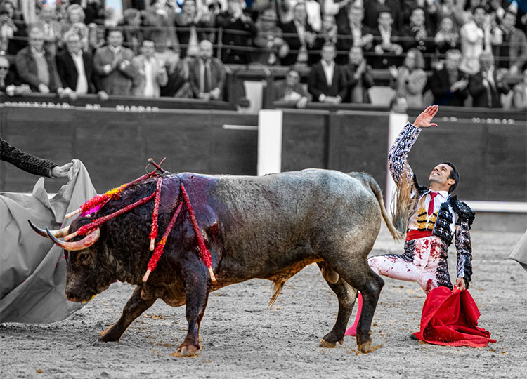 Emilio de Justo revient à Madrid après avoir accompli la tâche de San Isidro : « Cela marquera ma vie, je me suis débarrassé de nombreux complexes.  Madrid a de nouveau vu le torero qu'il veut et celui que je veux être'