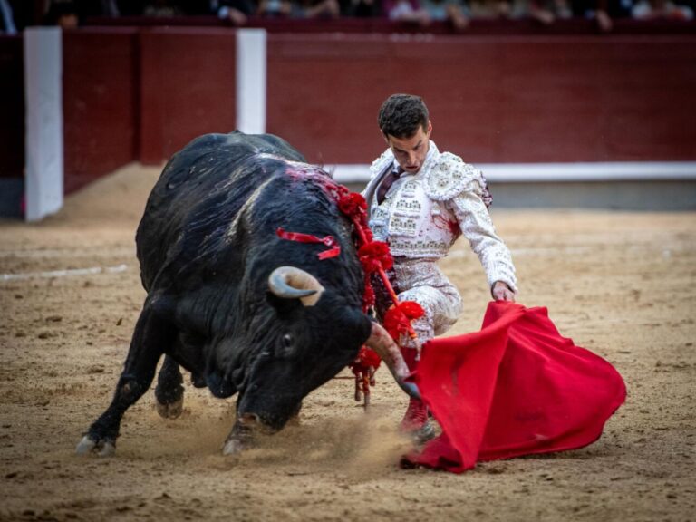 Fernando Adrián, trois Puertas Grandes consécutives à Madrid: « Je suis convaincu de ce que je veux et de ma loyauté envers moi-même en tant que torero »