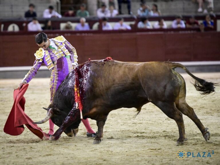 Bruno Aloi, dans la renaissance de Pedro Gallego dans Las Ventas