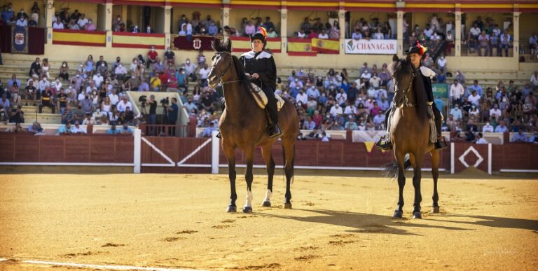 Cuenca, avec des élevages de luxe pour sa foire de San Julián
