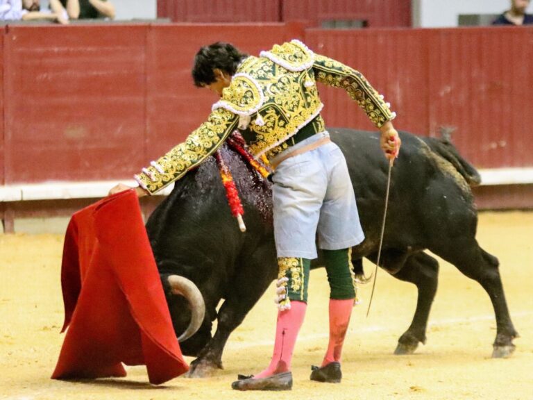 Curro Díaz, le visage et la croix de la tauromachie, à Burgos