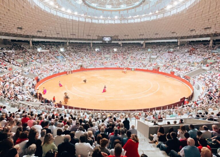 Catégorie de bétail pour la foire de San Pedro et San Pablo de Burgos
