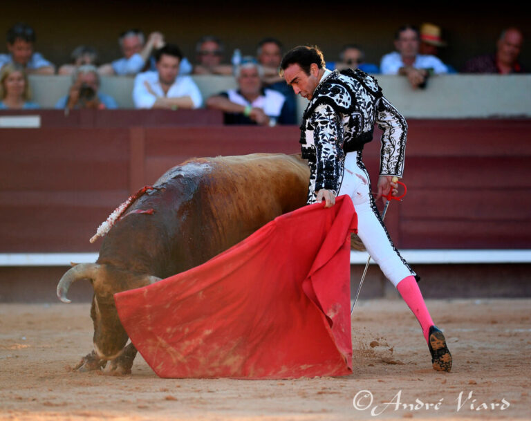 Enrique Ponce et la tâche de pardonner « Promista », de Juan Pedro Domecq, à Istres
