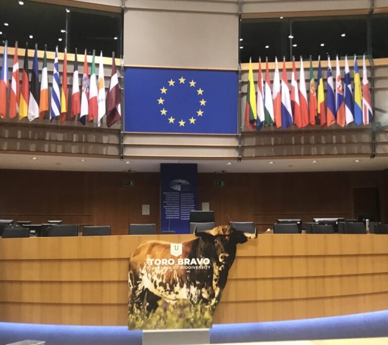L'Union Royale des Éleveurs de Taureaux de Combat présente douze mesures pour les partis politiques à l'approche des élections européennes