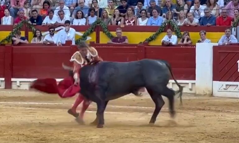 La baise de Manuel Escribano le cinquième de l'après-midi à Alicante (Vidéo)