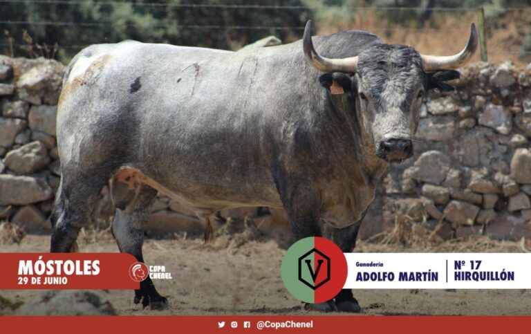 Les taureaux d'Adolfo Martín et Zacarías Moreno pour la finale à trois de la Coupe Chenel