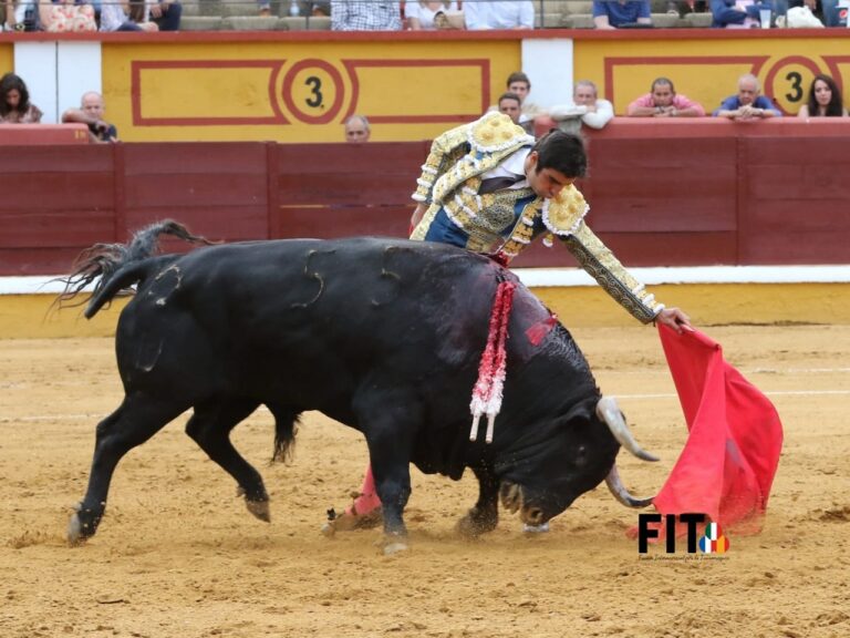 Miguel Ángel Perera à Badajoz : des chiffres pour l'histoire