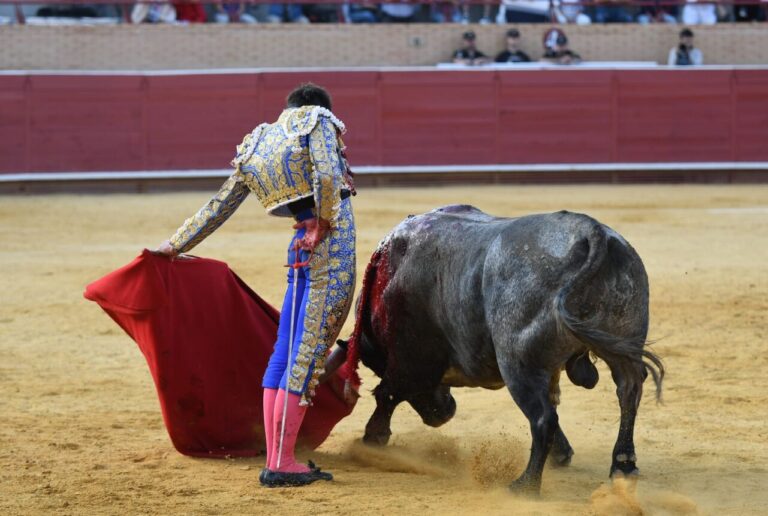 Molina et Víctor Hernández remportent leur place en finale de la Coupe Chenel à Móstoles
