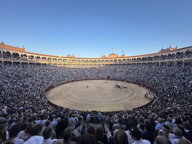 Plus de six millions et demi de spectateurs ont fréquenté les places en 2023