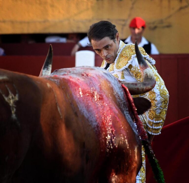 Sánchez Vara, avec six taureaux solitaires de Reta de Casta Navarra à Tafalla