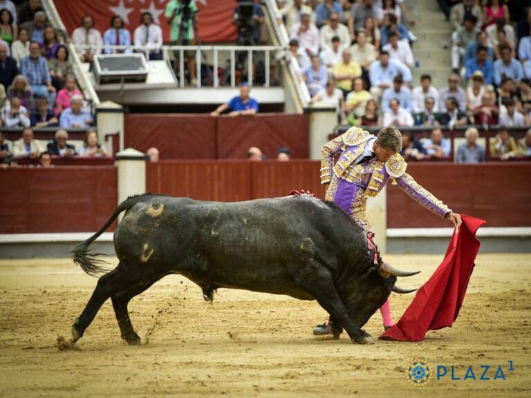 Sans options José Garrido en troisième (Direct: Las Ventas)