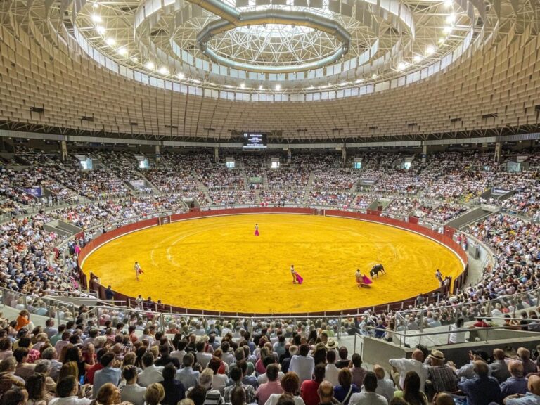 Tauroemoción lance des billets avec des réductions incroyables pour la Foire de Burgos