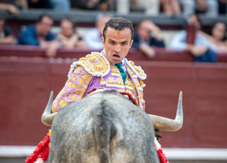 Damián Castaño : « La tauromachie à Ceret implique une grande responsabilité, car tout ce qui s'y fait est très sérieux, donc tout a beaucoup plus d'impact »