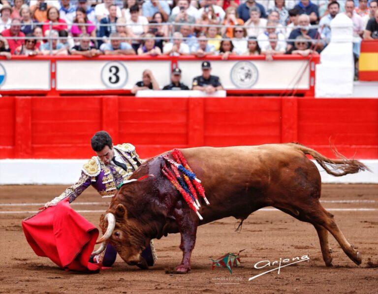 C'est ainsi que nous vous avons raconté le triomphe de Tomás Rufo lors de la cinquième de la Feria del Norte (En ligne)