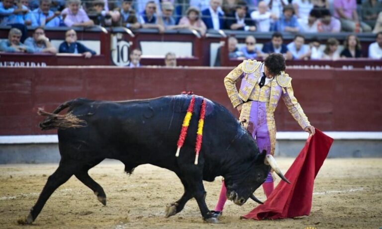 Chicarro fait face à un août de la figure taurine