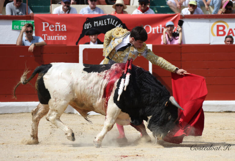 Fermeté de Miguel Andrades et Cid de María face à une corrida compliquée de Barcial le matin d'Orthez