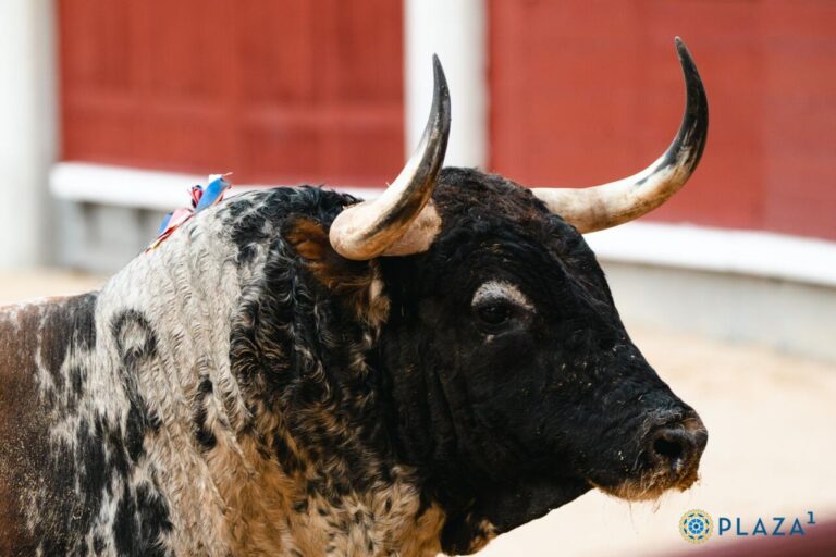 Fers légendaires pour la corrida de septembre à Las Ventas (Affiches)