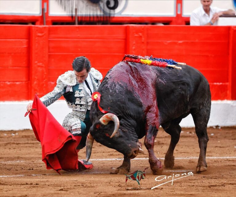 Juan Ortega et vingt muletazos de catégorie