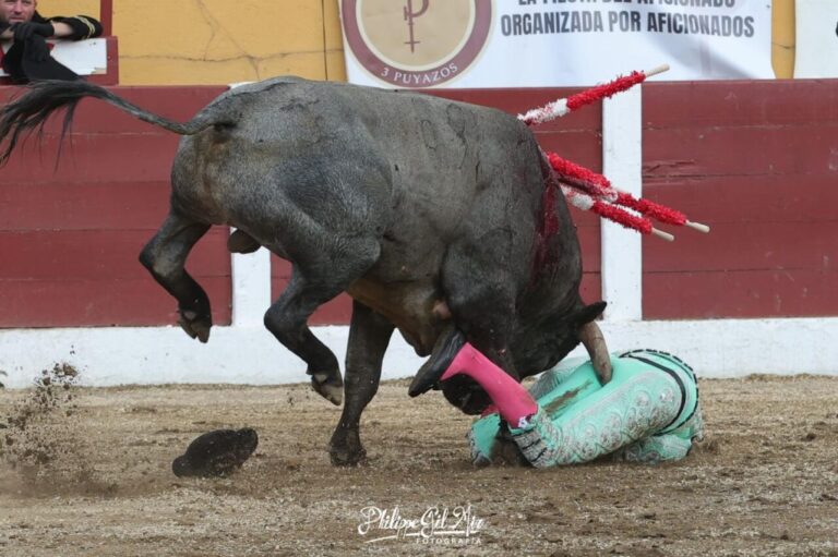 Le banderillero José Mora, de nouveau opéré pour son grave attentat à Ceret