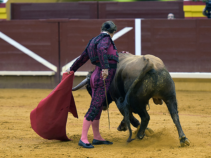 Le monde de la tauromachie « pleure » la mort de Pepe Luis Vázquez