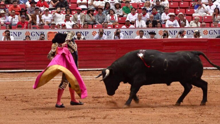 Les lanternes Tapatíos |  mundotoro.com