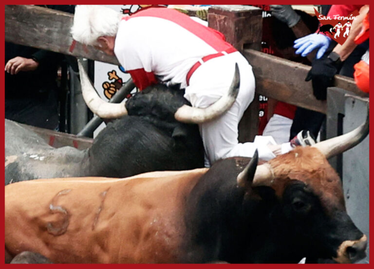 Les taureaux de Miura maintiennent le ton de la course des taureaux de San Fermín 2024