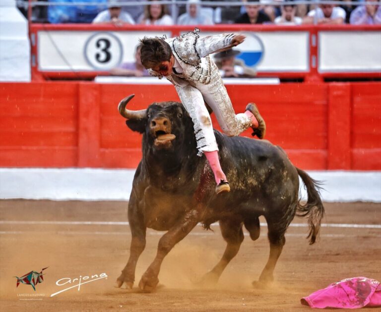 Marco Pérez, un après-midi de honte de torero après deux forts sauts périlleux à Santander