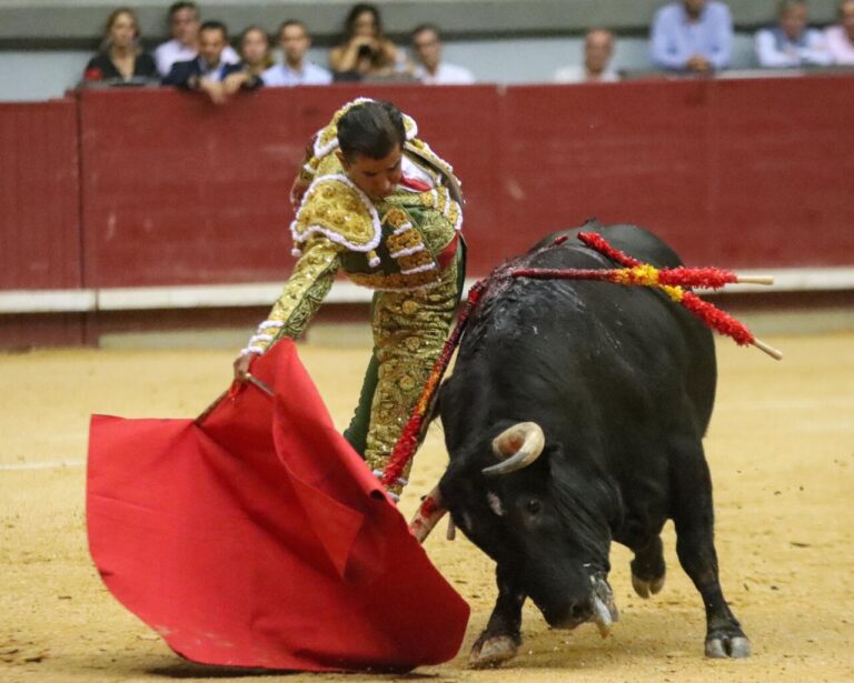 Oreille pour Roca Rey après une tâche établie et terminée parmi les pitons (Direct: Burgos)