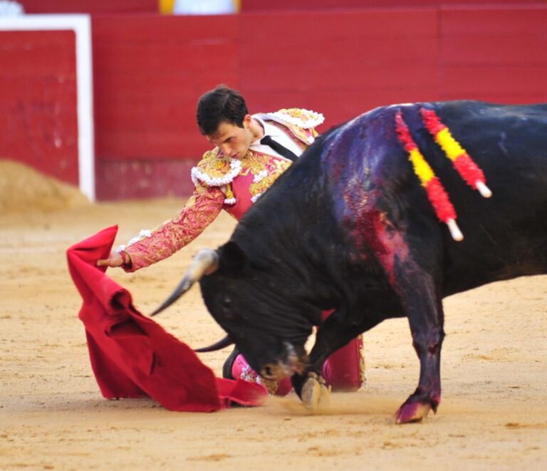 Une tâche de Samuel Navalón à Valence