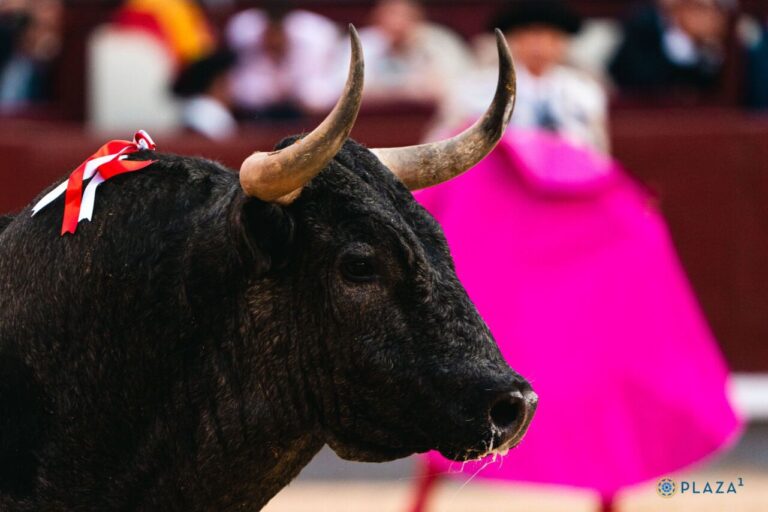 Ventes et troupeaux de bétail de son mois le plus haussier