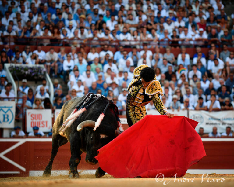 L'année de Morenito de Aranda après son triomphe au Mont